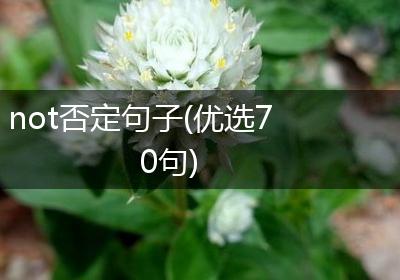 not否定句子(优选70句)