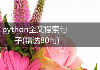 python全文搜索句子(精选80句)