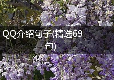 QQ介绍句子(精选69句)