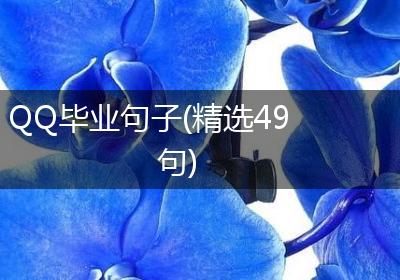 QQ毕业句子(精选49句)