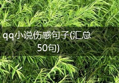 qq小说伤感句子(汇总50句)