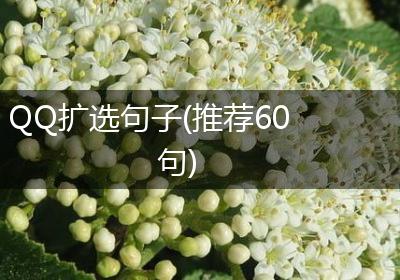 QQ扩选句子(推荐60句)