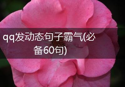 qq发动态句子霸气(必备60句)