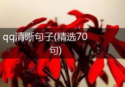 qq清晰句子(精选70句)