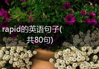 rapid的英语句子(共80句)