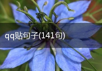 qq贴句子(141句)