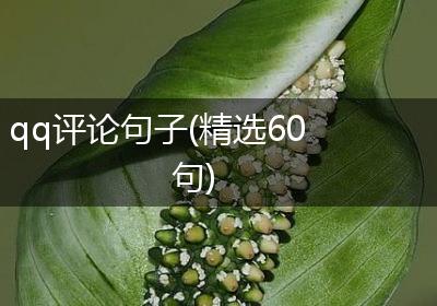qq评论句子(精选60句)