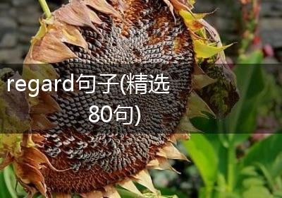 regard句子(精选80句)