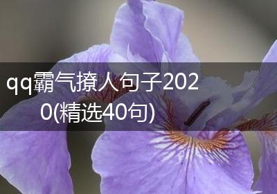 qq霸气撩人句子2020(精选40句)