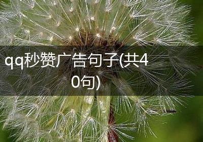 qq秒赞广告句子(共40句)