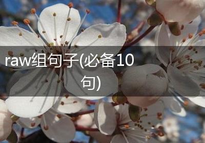 raw组句子(必备10句)