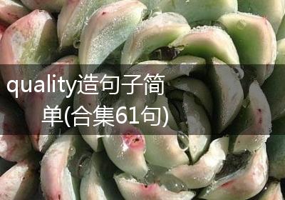 quality造句子简单(合集61句)