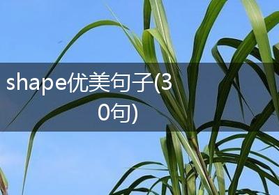 shape优美句子(30句)