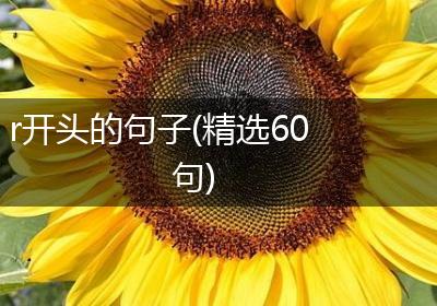 r开头的句子(精选60句)