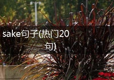 sake句子(热门20句)