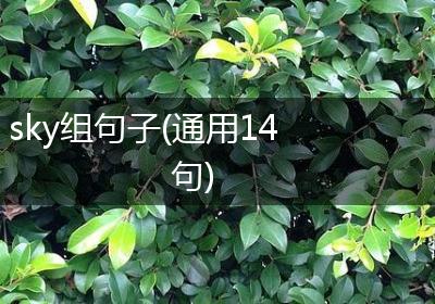 sky组句子(通用14句)