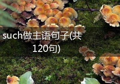 such做主语句子(共120句)
