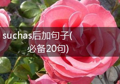 suchas后加句子(必备20句)