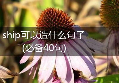 ship可以造什么句子(必备40句)