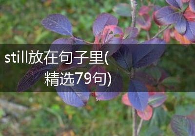 still放在句子里(精选79句)