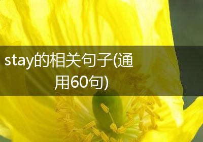 stay的相关句子(通用60句)