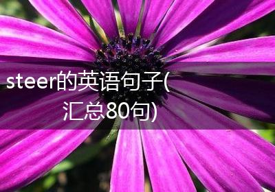 steer的英语句子(汇总80句)
