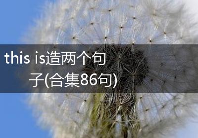this is造两个句子(合集86句)