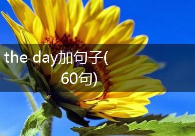 the day加句子(60句)