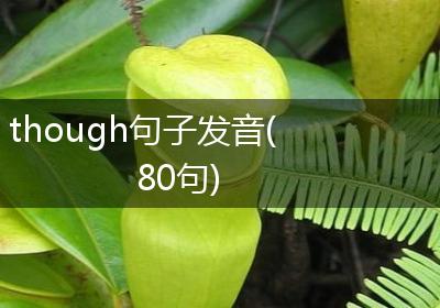 though句子发音(80句)