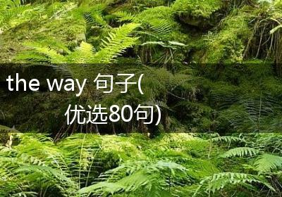 the way 句子(优选80句)