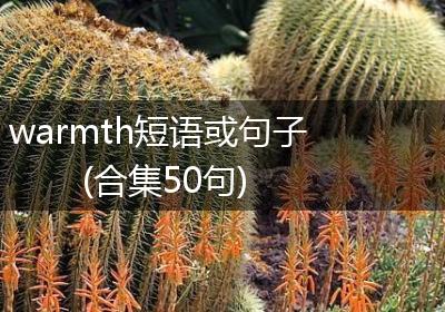 warmth短语或句子(合集50句)