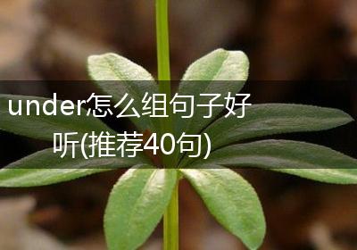 under怎么组句子好听(推荐40句)