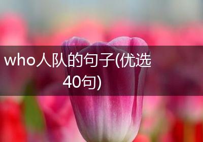 who人队的句子(优选40句)
