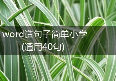 word造句子简单小学(通用40句)