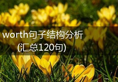 worth句子结构分析(汇总120句)