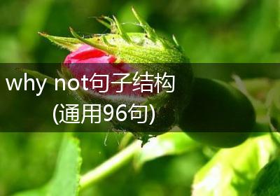 why not句子结构(通用96句)