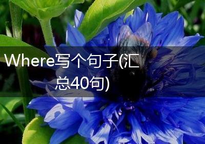 Where写个句子(汇总40句)