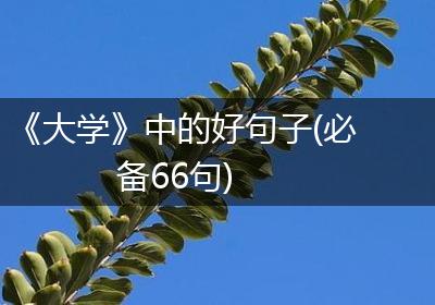 《大学》中的好句子(必备66句)