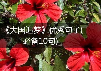 《大国追梦》优秀句子(必备10句)