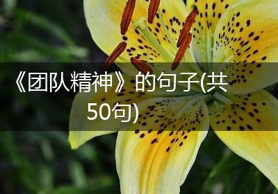 《团队精神》的句子(共50句)