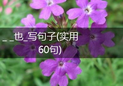 _ _也_写句子(实用60句)