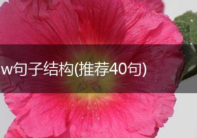 w句子结构(推荐40句)