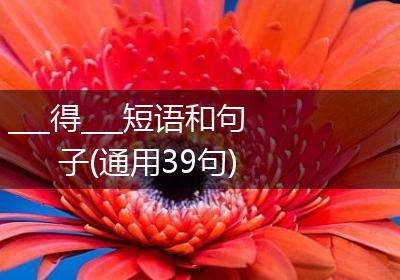 ___得___短语和句子(通用39句)