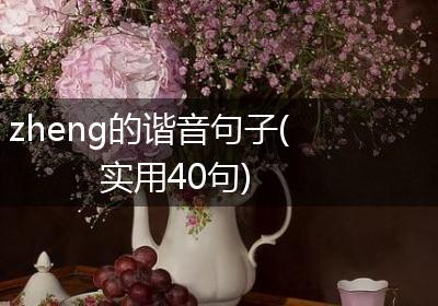 zheng的谐音句子(实用40句)