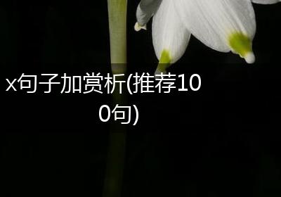 x句子加赏析(推荐100句)