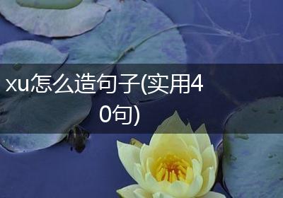 xu怎么造句子(实用40句)