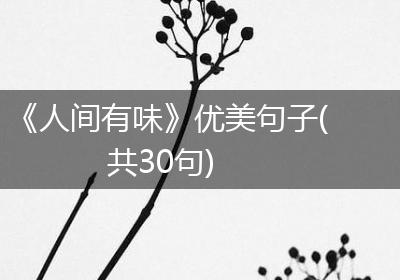 《人间有味》优美句子(共30句)