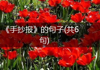 《手抄报》的句子(共6句)