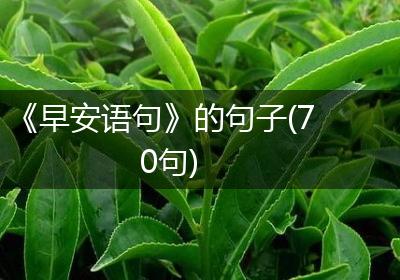 《早安语句》的句子(70句)