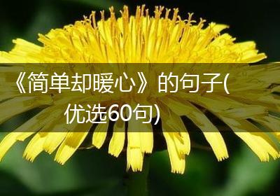 《简单却暖心》的句子(优选60句)